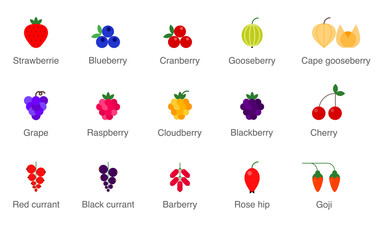 Vector set of colorful Berries icons. Isolated illustrations on white background - 380861596