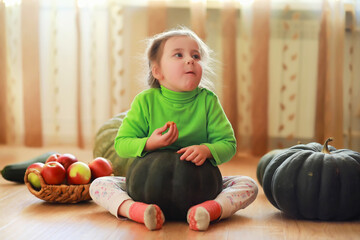 Fototapeta premium Little child choose a pumpkin at autumn. Child sitting on giant pumpkin. Pumpkin is traditional vegetable used on American holidays - Halloween and Thanksgiving Day.
