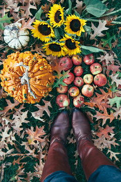 Person in boots standing above a fall scene with pumpkins, apples, sunflowers and leaves