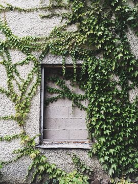 Small sealed window