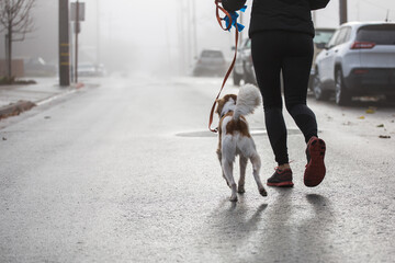 Young woman going for a jog with her dog