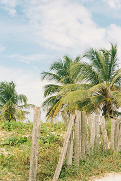 Wooden posts form a sloppy barrier / fence on a beach in the Caribbean