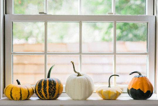Various pumpkins and gourds displayed on a windowsill