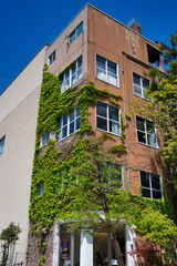 植物に覆われた建物