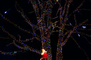 Christmas lights and Santa Claus on a tree.