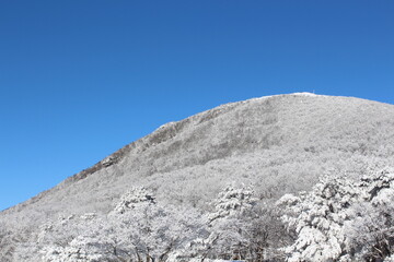 제주도 한라산 겨울 산, 눈 덮힌 산, 나무
