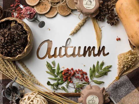 Autumn Sign