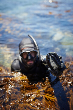 Diver holding sea snail