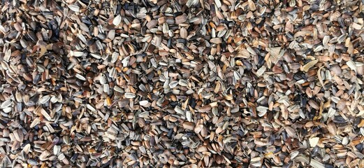 sunflower seeds bulk mix