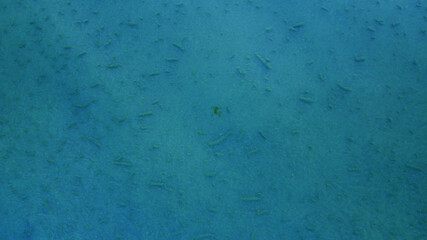 Blue texture of water and waves. Top view of the sea
