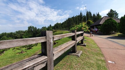 wooden fencein park