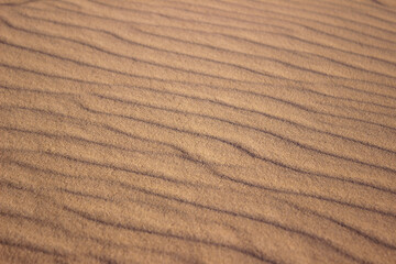 The largest desert in Europe, Ukraine - Oleshky Sands (Oleshkivsʹki pisky). Waves in the sand, beautiful ripples of sand, background