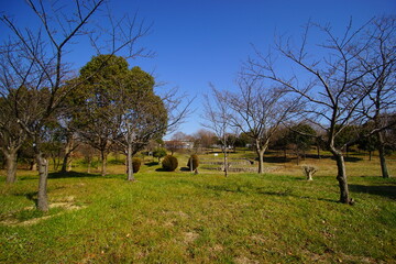 日本の大阪のポートタウンの公園