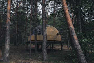 house in the forest