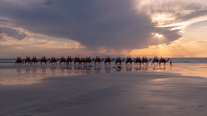 Camel ride during sunset at the beach in Broome Australia