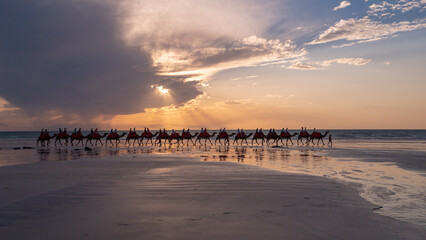 Camel ride during sunset at the beach in Broome Australia