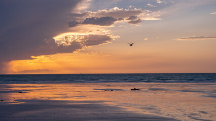 Sunset at the Beach with flying birds in Broome Australia