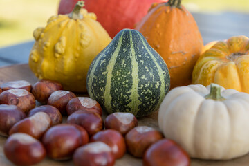 autumn decoration  on a table with pumpkins and chestnuts