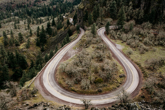 Rowena Crest