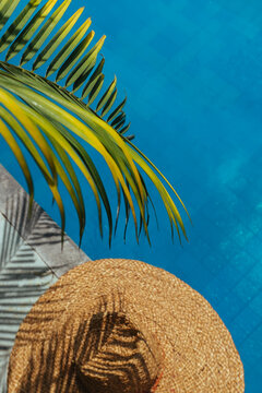 Tropical Summer Holiday. Green Palm Leaf & Straw Hat By Pool