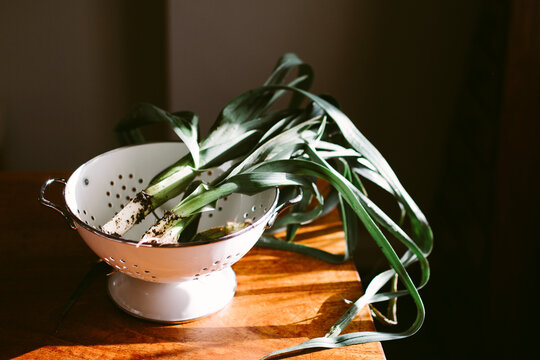 Fresh organic baby leeks in a colander on a sunny table.