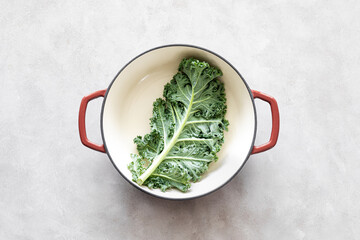 Fresh kale curly leaves, superfood
