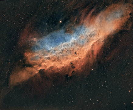 The California nebula