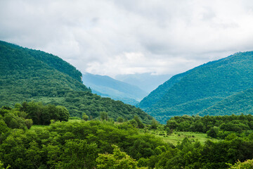 Obraz premium nature