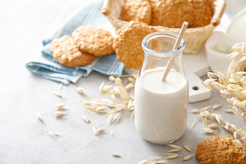 Oat milk. Delicious and healthy vegetarian alternative milk drink