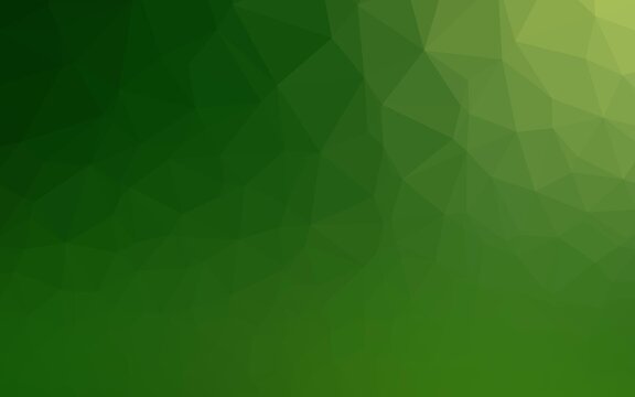 Light Green vector blurry triangle template. Geometric illustration in Origami style with gradient. Completely new design for your business.