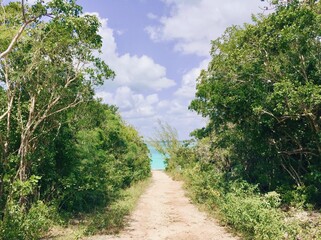 Fototapeta na wymiar Pathway leaning to turquoise ocean 