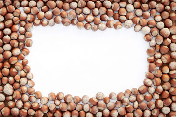 Frame on a white background of hazelnut hazelnut in a shell horizontal