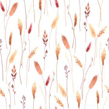 Watercolor abstract wildflowers, tender fleurs séchées, seamless floral pattern with colorful plants. Illustration on white background in vintage style.