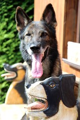 Deutscher Schäferhund mit geschnitzten Deko Hunden 