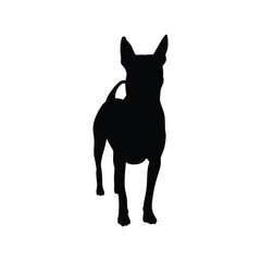 Thai dog silhouette vector