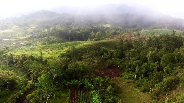 Aerial shot of tropical foggy afternoon