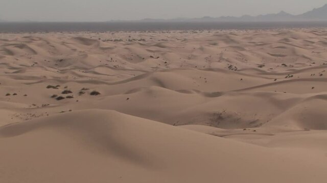North Algodones Dunes in California in the midday heat, USA.