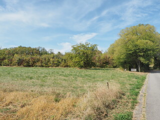Naturschutzgebiet - Hangflächen bei Gräfinthal