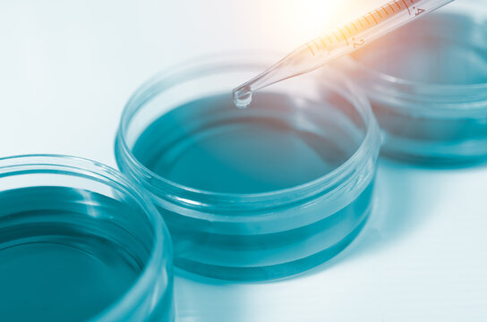 Science and medicine concept.Pipette dropping a sample into a glassware and science experiments.Laboratory glassware containing chemical liquid,