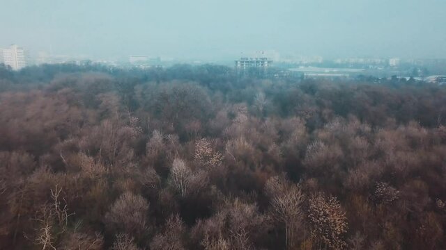 Flying over a concrete living apartment area in east Europa with many birds flying around the drone