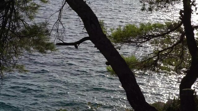 Beautiful Island of Croatia