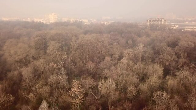 Flying over a concrete living apartment area in east Europa with many birds flying around the drone