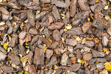 Close view of pulverised tree bark mulch. Mulch texture. Top view;