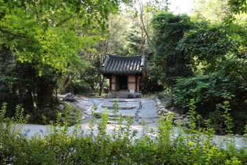 japanese garden