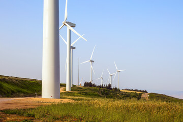 Wind generator - wind farm