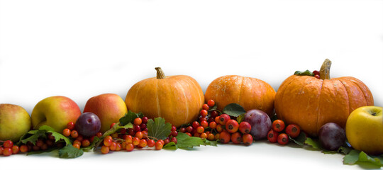 Fototapeta na wymiar Autumn composition. Still life of pumpkin, leaves, apples, berries on a white background. Banner. Thanksgiving day, harvest concept. Copyspace.