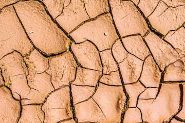Dry soil in the time of drought