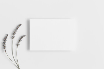 White invitation card mockup with a lavender. 5x7 ratio, similar to A6, A5.