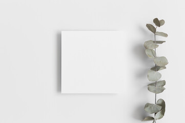 Square invitation card mockup with a eucalyptus branch.