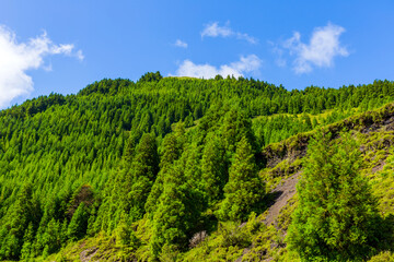 Beautiful landscape in Azores